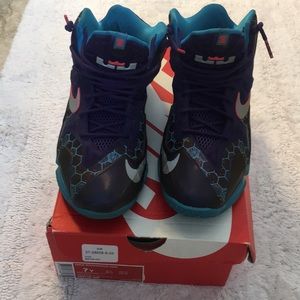 Nike LeBron James Roshe sneakers